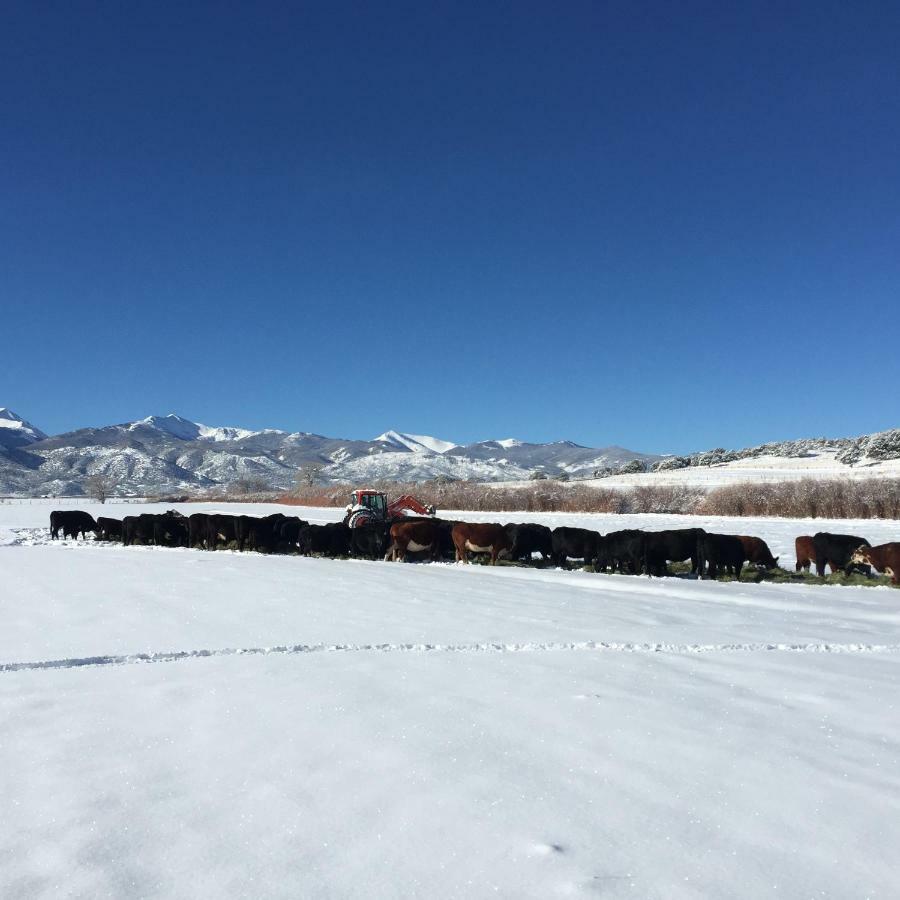 サライダ Private Retreat On Working Horse And Cattle Ranchヴィラ エクステリア 写真